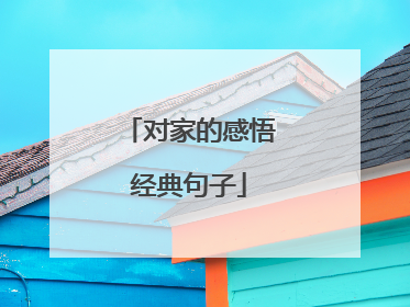 对家的感悟经典句子