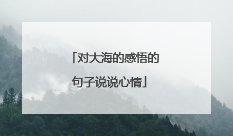 对大海的感悟的句子说说心情