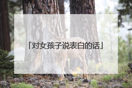 对女孩子说表白的话