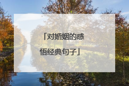 对婚姻的感悟经典句子