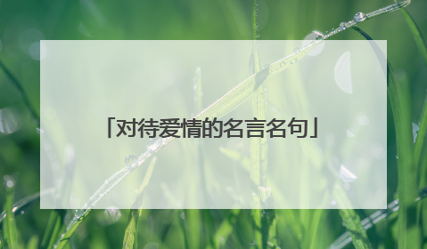 对待爱情的名言名句