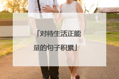 对待生活正能量的句子积累