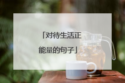 对待生活正能量的句子