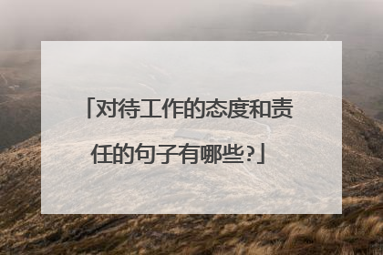 对待工作的态度和责任的句子有哪些?