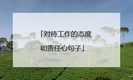 对待工作的态度和责任心句子