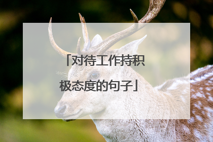 对待工作持积极态度的句子