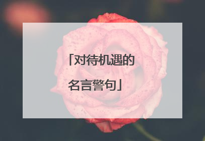 对待机遇的名言警句