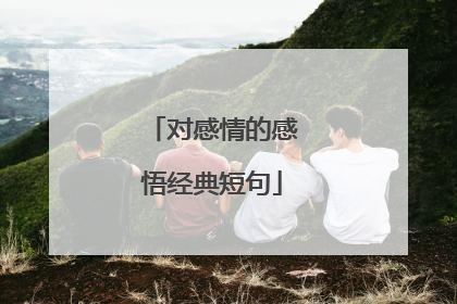 对感情的感悟经典短句