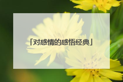 对感情的感悟经典