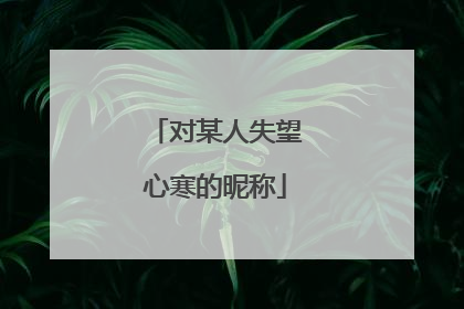 对某人失望心寒的昵称