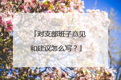 对支部班子意见和建议怎么写?