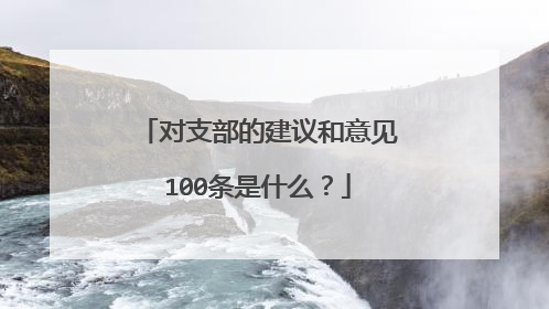对支部的建议和意见100条是什么?