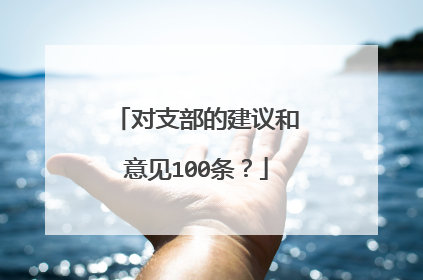 对支部的建议和意见100条?