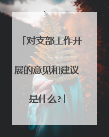 对支部工作开展的意见和建议是什么?