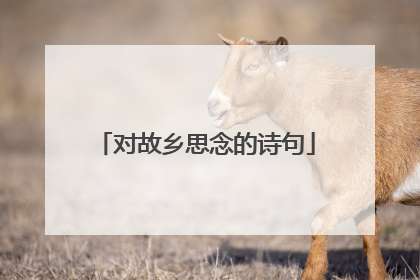 对故乡思念的诗句