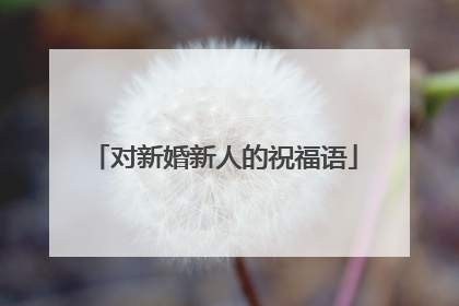 对新婚新人的祝福语