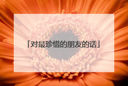 对最珍惜的朋友的话