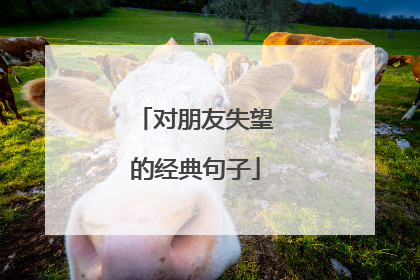 对朋友失望的经典句子