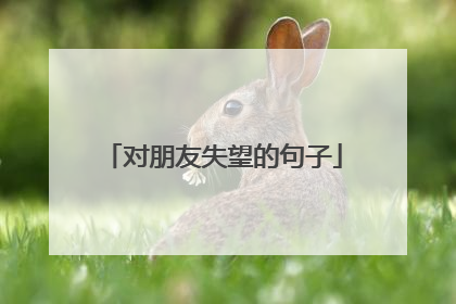 对朋友失望的句子
