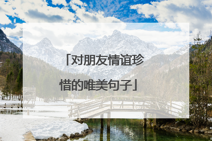 对朋友情谊珍惜的唯美句子