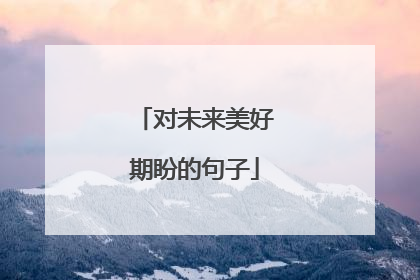 对未来美好期盼的句子