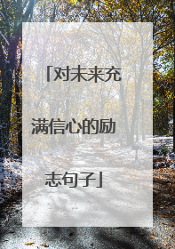 对未来充满信心的励志句子