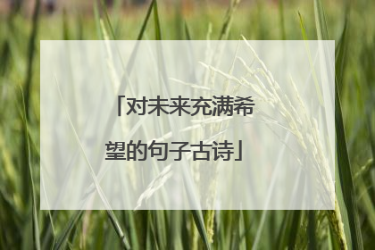 对未来充满希望的句子古诗