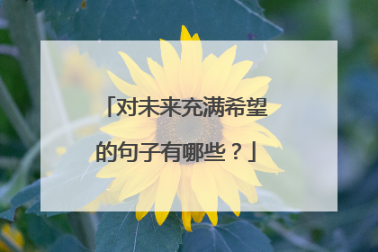 对未来充满希望的句子有哪些？