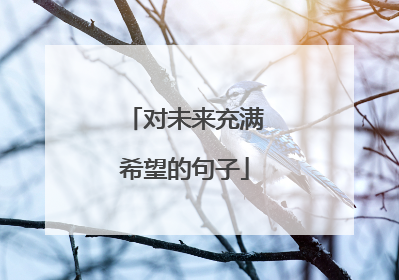 对未来充满希望的句子