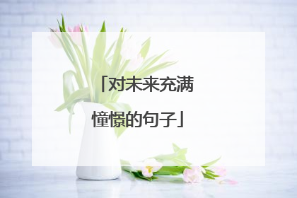 对未来充满憧憬的句子