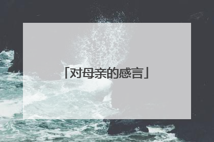 对母亲的感言