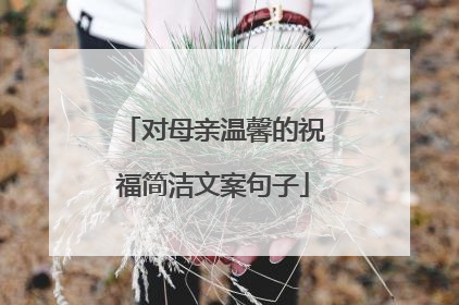 对母亲温馨的祝福简洁文案句子