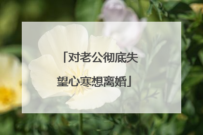 对老公彻底失望心寒想离婚