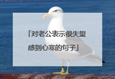 对老公表示很失望感到心寒的句子