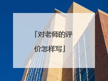 对老师的评价怎样写