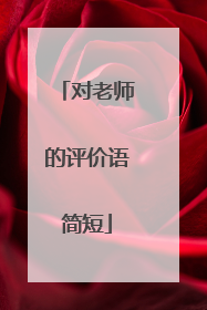 对老师的评价语简短