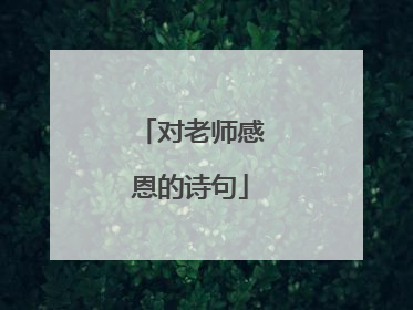 对老师感恩的诗句