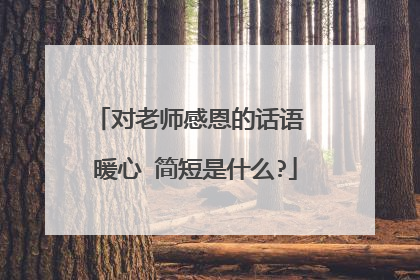 对老师感恩的话语 暖心 简短是什么?
