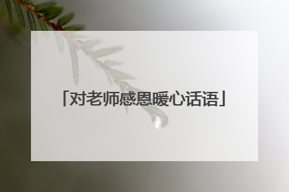对老师感恩暖心话语