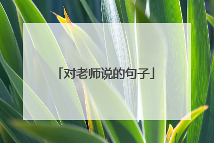 对老师说的句子