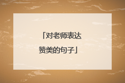 对老师表达赞美的句子