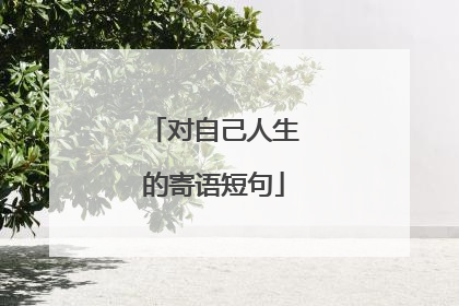 对自己人生的寄语短句