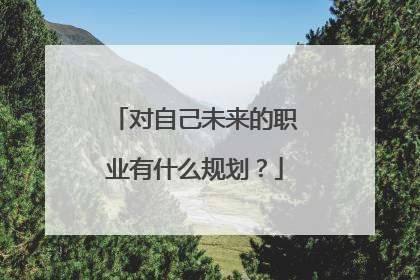 对自己未来的职业有什么规划？