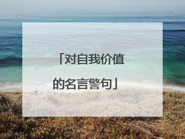 对自我价值的名言警句