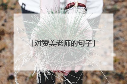 对赞美老师的句子