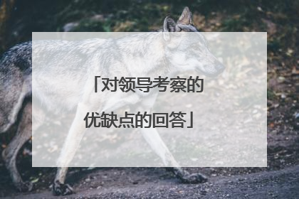 对领导考察的优缺点的回答