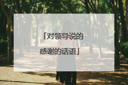 对领导说的感谢的话语