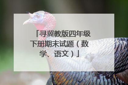 寻冀教版四年级下册期末试题（数学、语文）