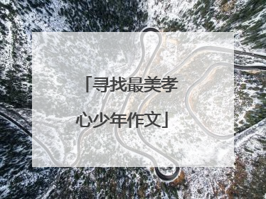 寻找最美孝心少年作文