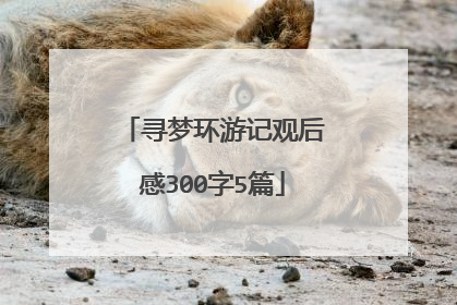 寻梦环游记观后感300字5篇